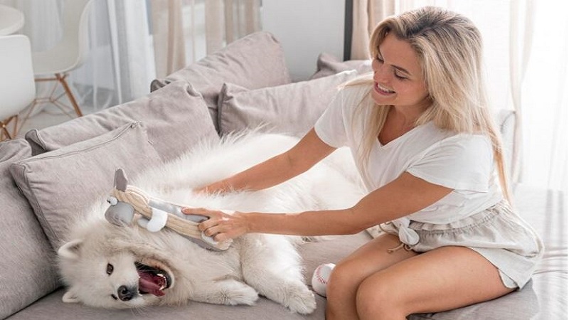 How Professional House Cleaners Handle Pet Hair in Abbotsford Homes